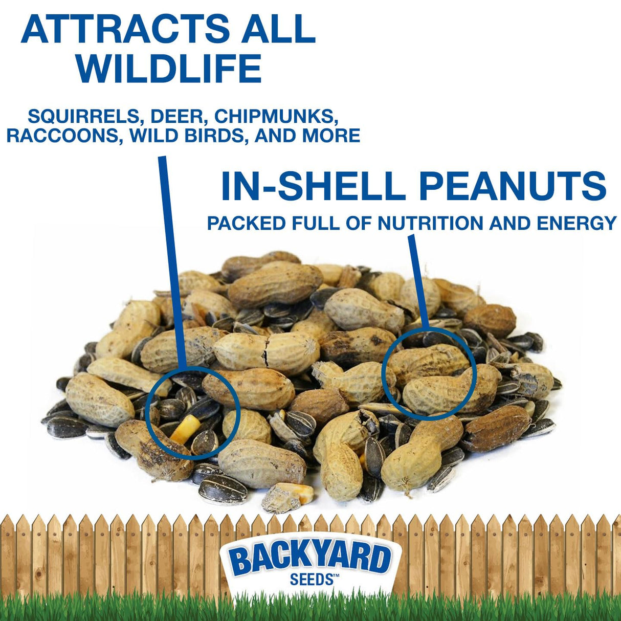 CountryMax Backyard Seeds Squirrel and Friends Wildlife Feed – 20 lb Non-GMO Mix for Squirrels, Deer, Birds, Rabbits, Chipmunks & More – All-Natural Backyard Animal Food