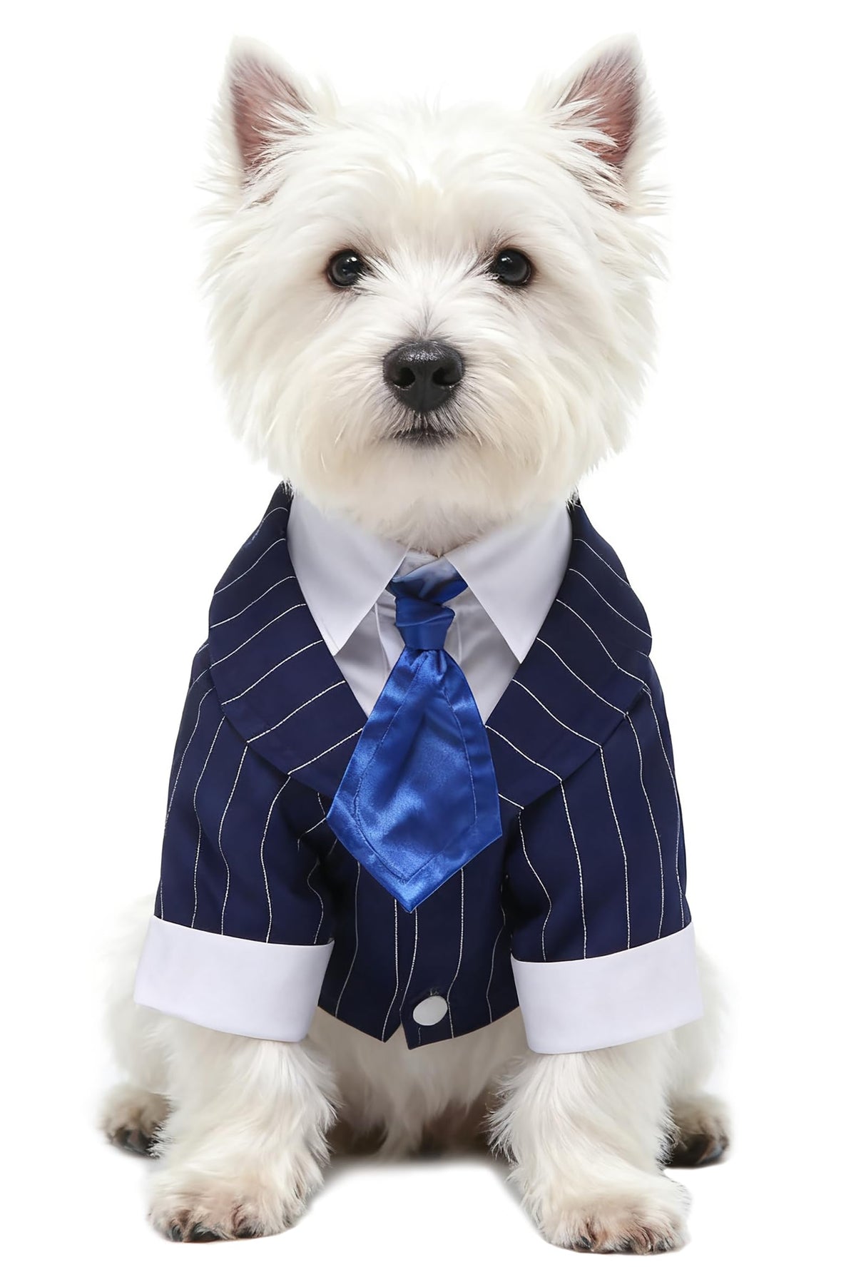 GabeFish Pets Wedding Jackets Suit for Dogs with Bow Tie Puppy Cat Formal Clothes Shirt Tuxedo (BlueStriped, S (Chest 12.9in/33cm)