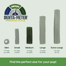 Load image into Gallery viewer, Ark Naturals Brushless Toothpaste, Dog Dental Chews for Medium Breeds, Freshens Breath, Helps Reduce Plaque & Tartar, 18oz, 1 Pack