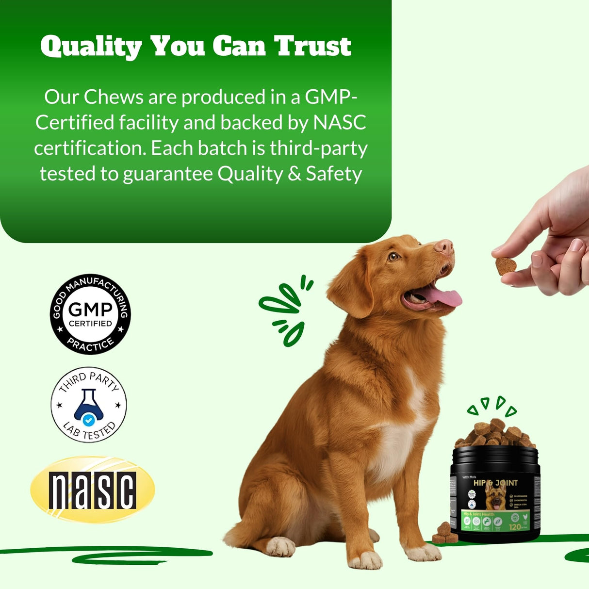Dog Hip & Joint Supplement Chews with Glucosamine & Chondroitin – Joint Support for Senior & Large Breed Dogs, Helps Mobility & Flexibility – 120 Ct
