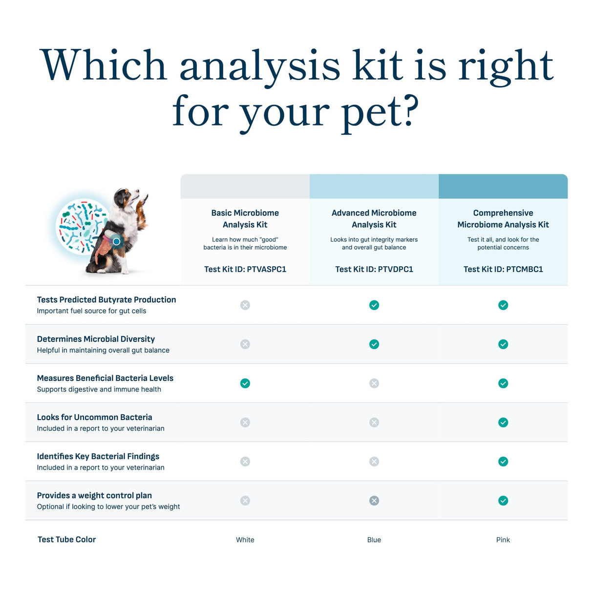 Petivity Microbiome Analysis Kit — Basic for Cats and Dogs, Powered by Purina - 4.8 oz. Box