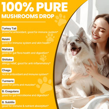 Load image into Gallery viewer, Turkey Tail Mushroom for Dogs - Faster Absorption 2000mg Turkey Tail Mushroom for Immune & Digestive, Joint, Energy, 5X Mushrooms for Pet Drop with Turmeric & Probiotic - Vet Formulated, 90 ML/3FL.oz