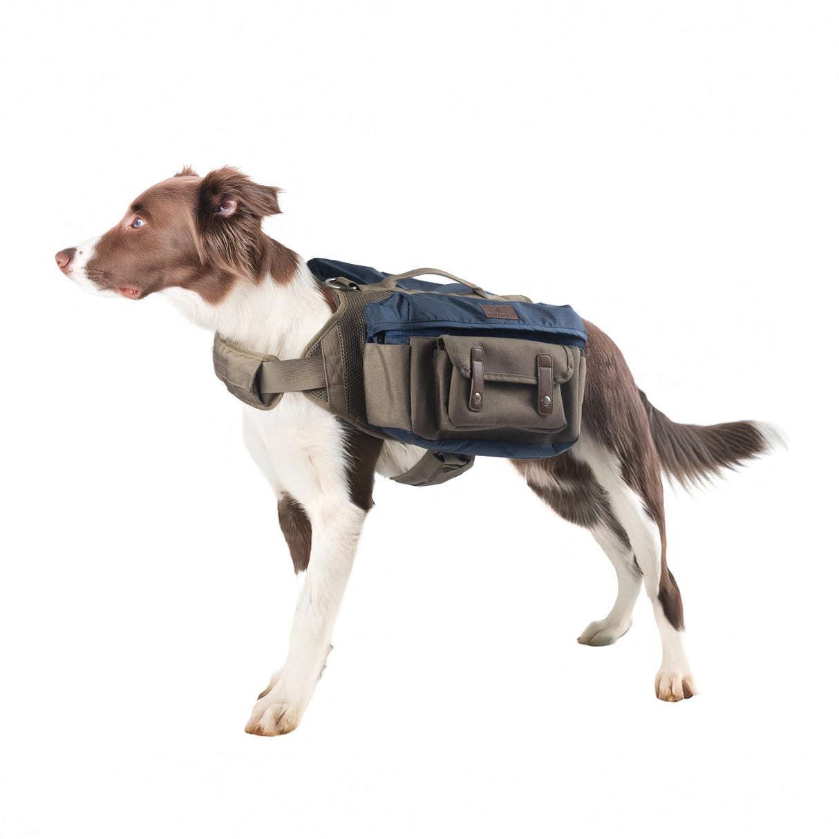 HOWLIDAYS CO. Dog Hiking Backpack Harness for Medium & Large Dogs – Durable Saddle Bag with Handle, Large Storage Compartments & Adjustable Fit for Outdoor Adventures, Camping & Day Trips (L)