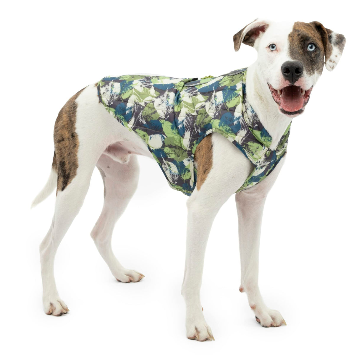 Kurgo Loft Dog Jacket - Reversible Cozy Coat for Outdoor Adventures - Water Resistant - Athletic Fit - Machine Washable Fabric - Reflective Dog Gear - X-Large - Pressed Leaf