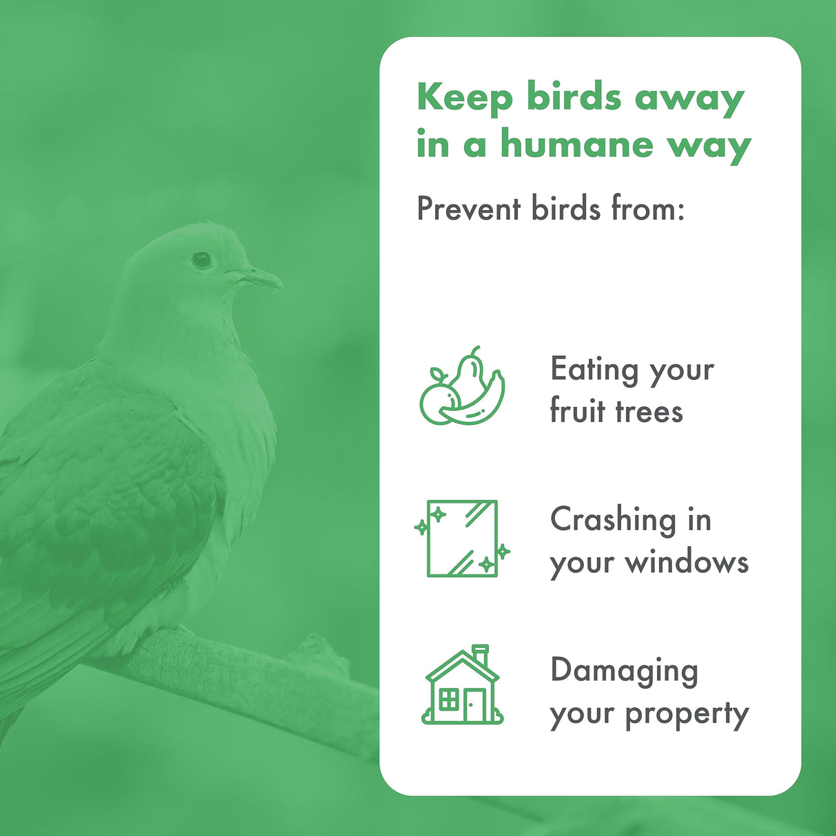 Bird Blinder Steel Bird Spikes for Pigeons and Other Small Birds - 4 inch Wide Pre-Assembled Bird Deterrent No Plastic - 10 Strips, 11 ft Coverage