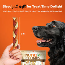 Load image into Gallery viewer, NutriChomps Dog Chews, 6-inch Braids, Easy to Digest, Rawhide-Free Dog Treats, Healthy, 10 Count, Real Chicken, Peanut Butter and Milk flavors