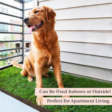 Load image into Gallery viewer, DoggieLawn Dog Potty - Real Grass - XLarge 24x48 inches