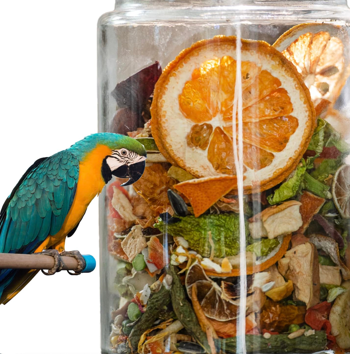 PrimalBlend All Natural Parrot Food - Flora
