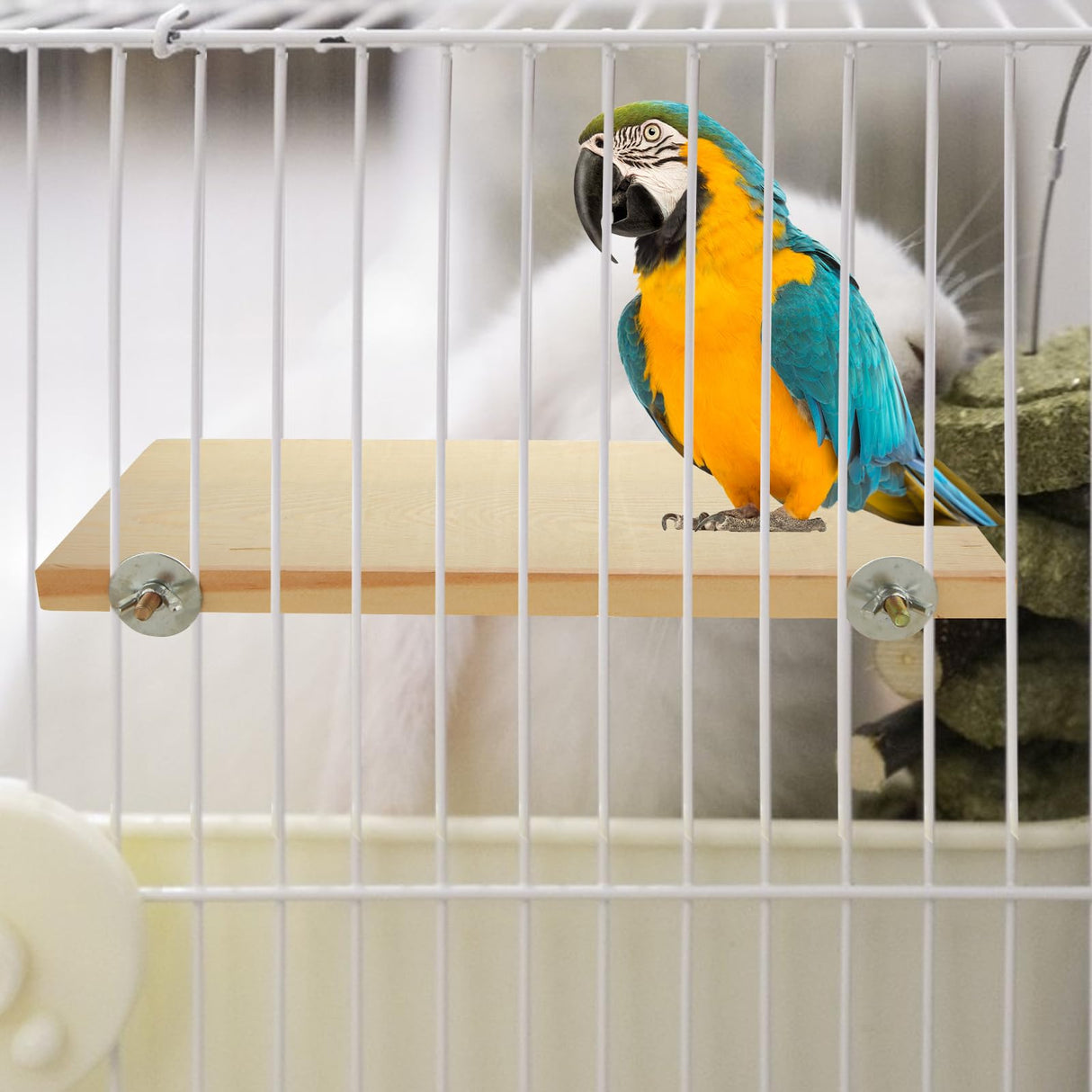 Oungy 4 Pack Bird Perch Stand 12.4×5.3 Inch Parrot Wood Platform Rectangle Wood Perch Stand Board Shelf for Parrots Birds Budgie Parakeet Cockatiel Hamster Chinchilla Gerbil