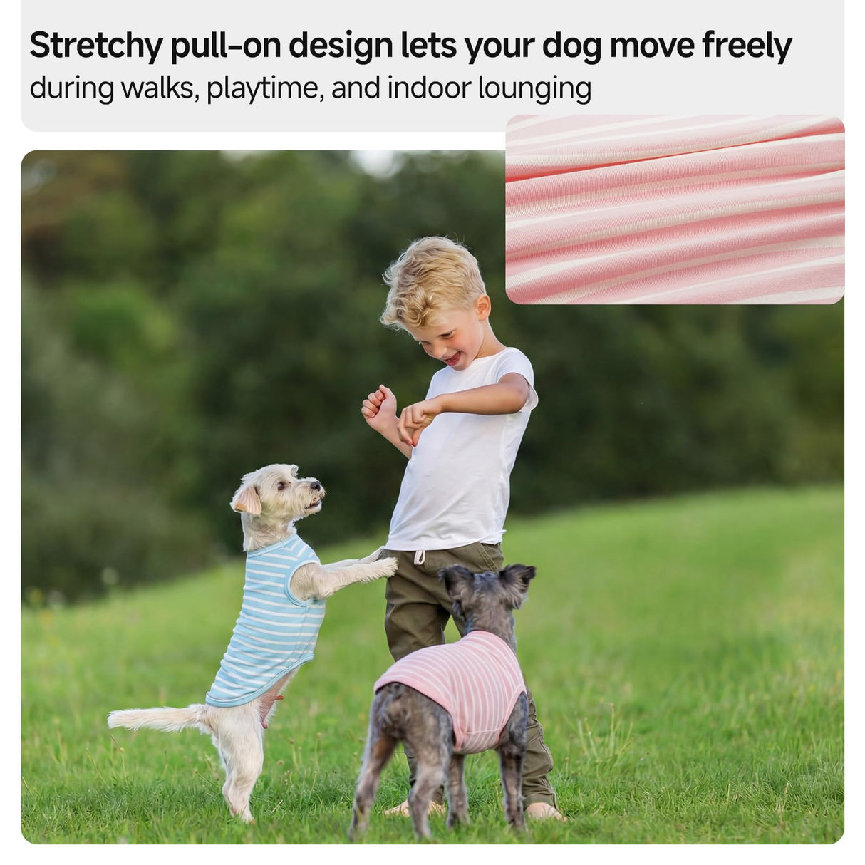 QBLEEV 2 Pack Dog Shirt, Soft Cotton Dog T Shirt for Small Medium Large Dogs, Sleeveless Stretchy Tee Vest for Summer, Breathable Lightweight Pet Tank Top Tshirts for Indoor Play, Outdoor Walks