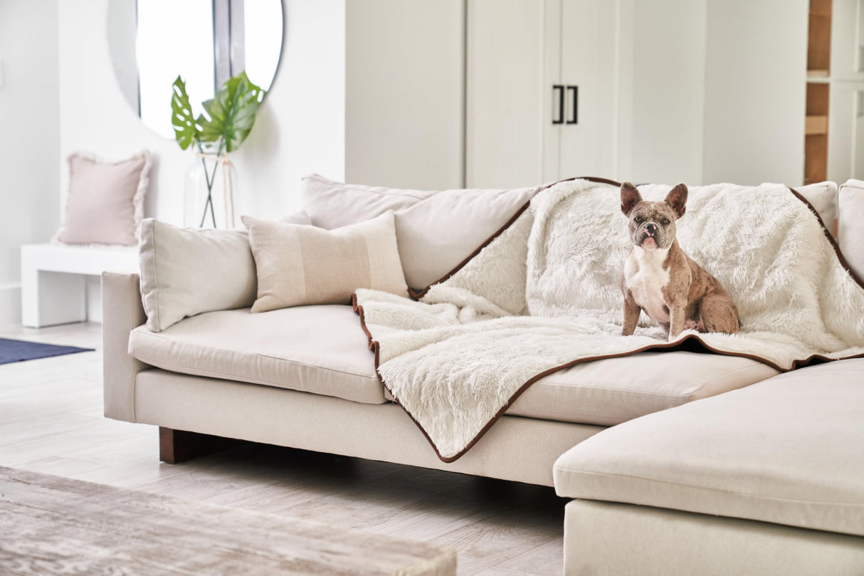 PupProtector Waterproof Throw Blanket for Dogs and Cats, Pet Blanket Cover for Couches, Sofas, Beds, Car Seats, Furniture, Calming Soft Faux Fur, Short White, Original (60" L x 50" W)