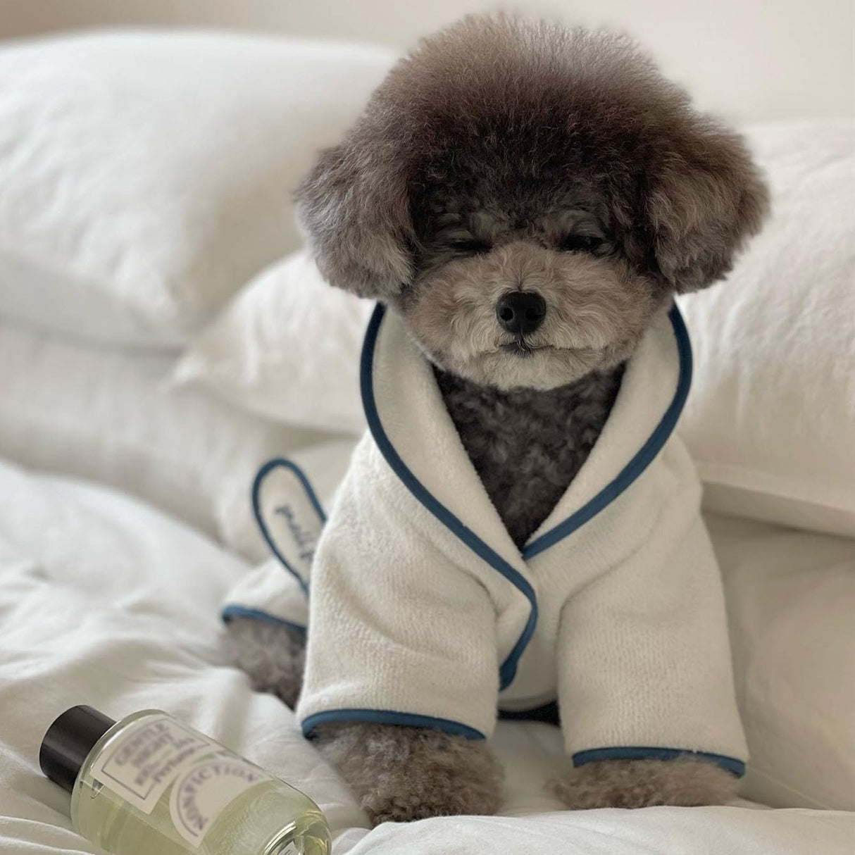 Dog Bathrobe for Drying Dogs, Hooded Dog Towel Doggie Robes Dog Bath Robe, Microfiber Fast Drying Absorbent Pet Towel for Cat Puppy Small Medium Dogs (Bathrobe,S)