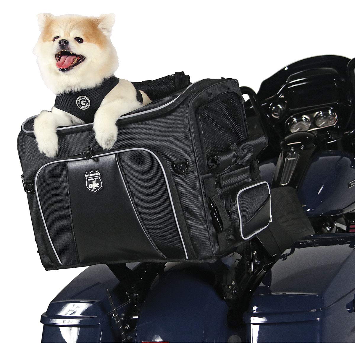 Nelson-Rigg Route 1 Rover Pet Carrier: Weather Resistant, Portable, and Secure Motorcycle pet Carrier/Crate; Fits Harley Davidson, Indian, Yamaha & Suzuki Motorcycles