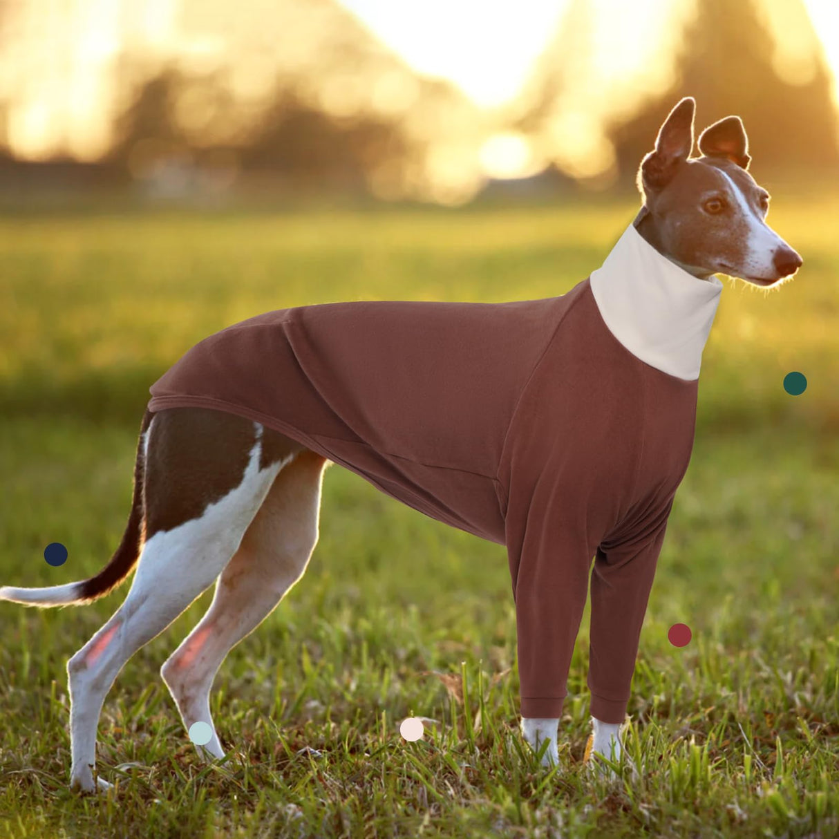 IECOii Greyhound Sweater, Turtleneck Italian Greyhound Sweater Thermal,Greyhound Cozy Fleece Jumper Winter Outfit,Whippet Fleeces Sweater,Greyhound Dog Jumpsuit for Whippet Lurcher Salukis,Medium