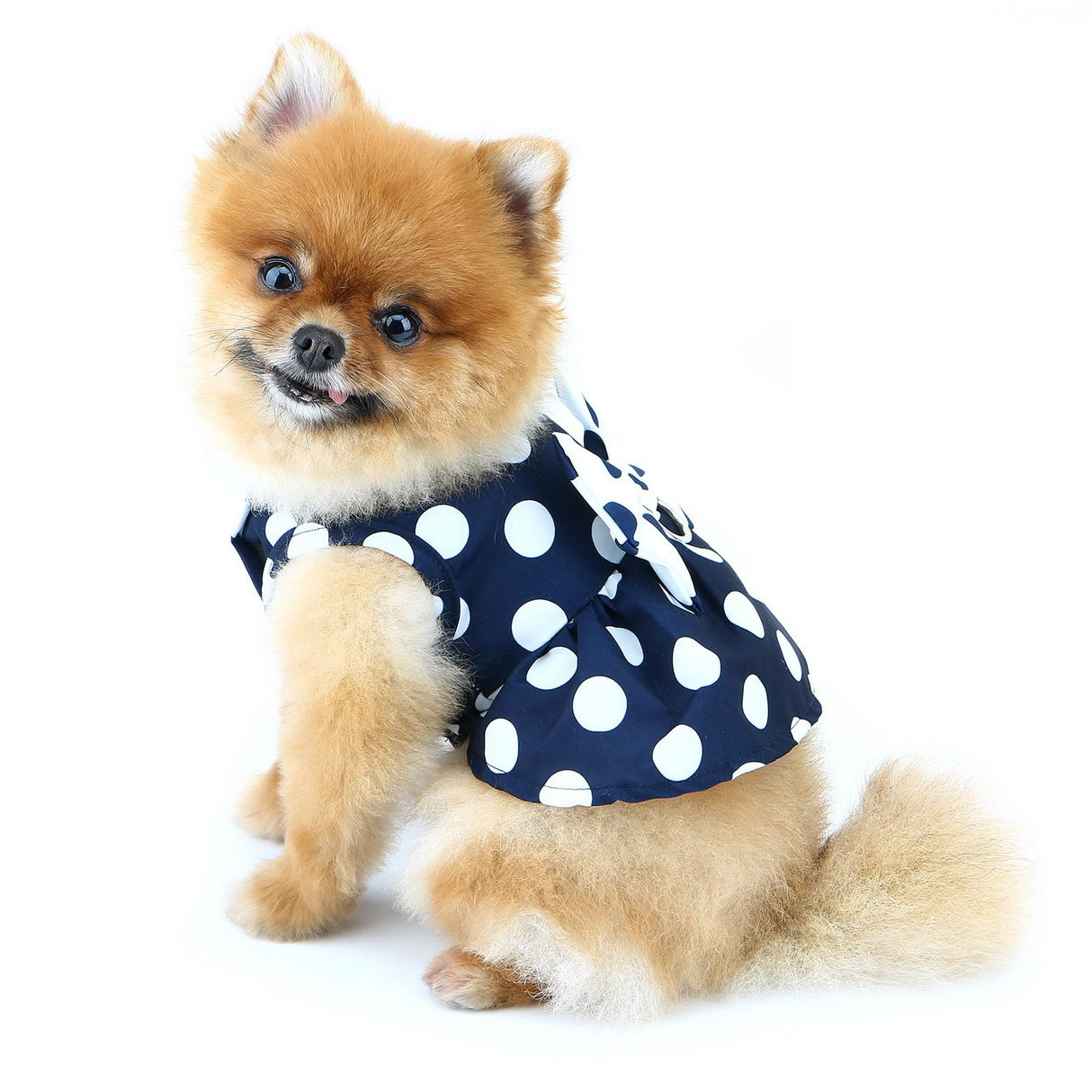 PAIDEFUL Dog Harness Dress,Retro Bow Princess Dresses for Small Dogs Cats Fashion Polka Dot Puppy Pleated Skirt Soft Lightweight Doggy Sundress Button up Chihuahua Clothes Costume D-Ring,Blue,M
