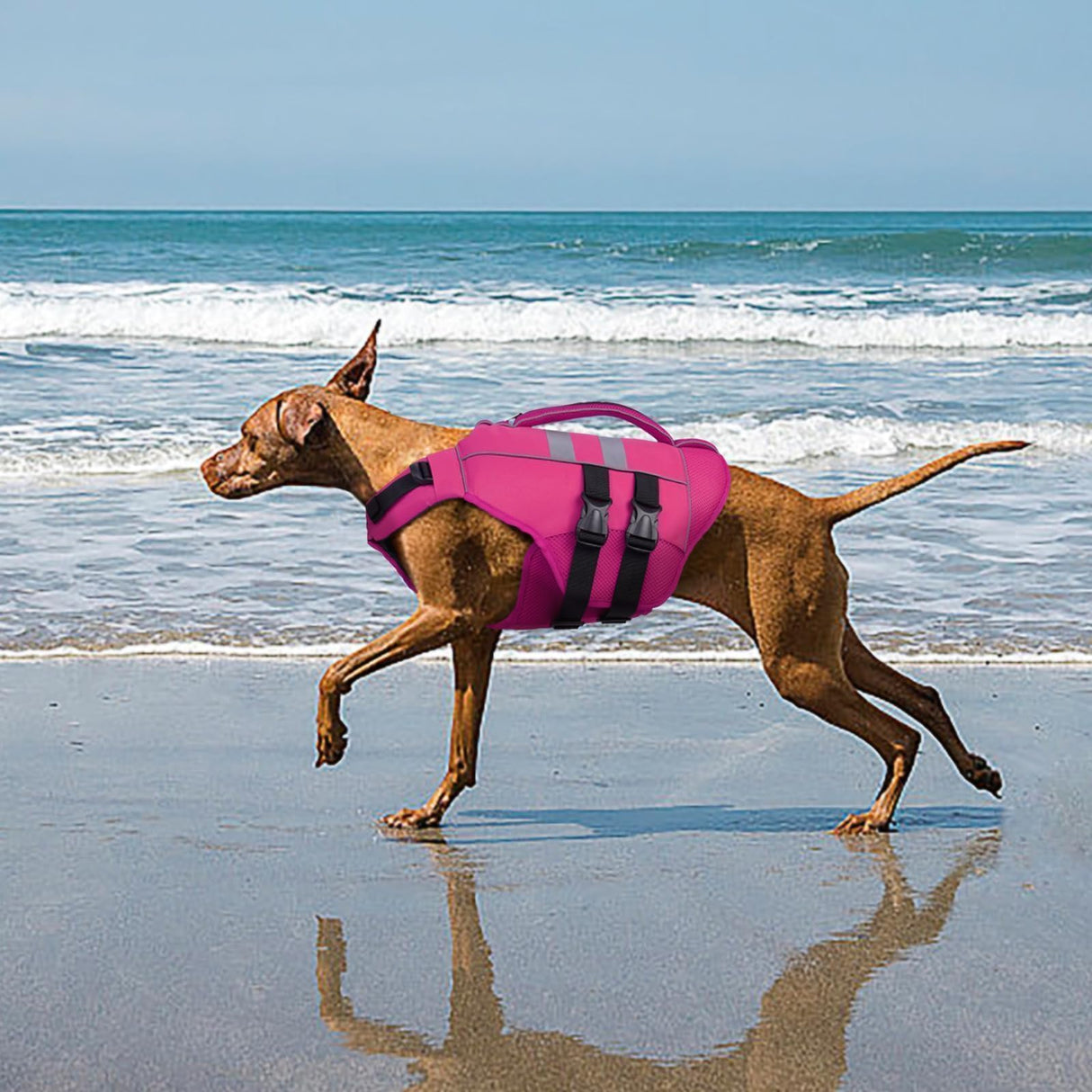 Kuoser XL Dog Life Jacket, Large High Flotation Dog Life Vest for Swimming Boating, Reflective Dog Swimming Vest Pet Life Preserver with Rescue Handle, Rose XL