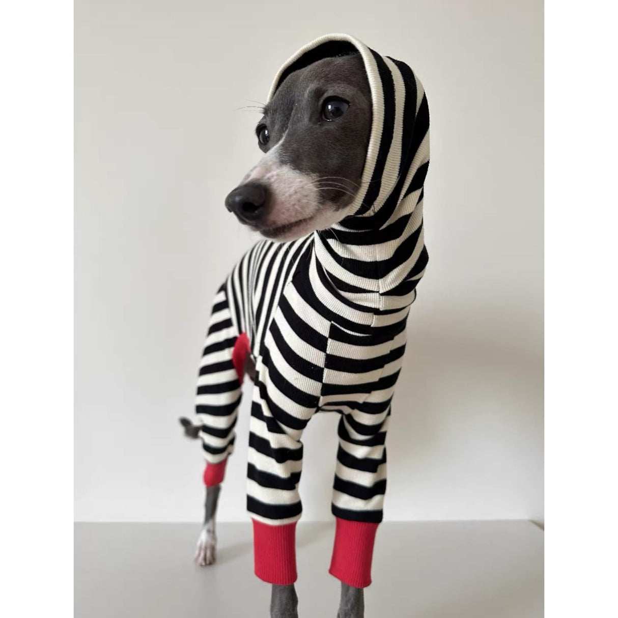 ESCCBOO Italian Greyhound Onesie Clothes, Turtleneck Striped Shirt for Whippets Puppy, Light and Thin Shirt for Spring and Summer (Small)