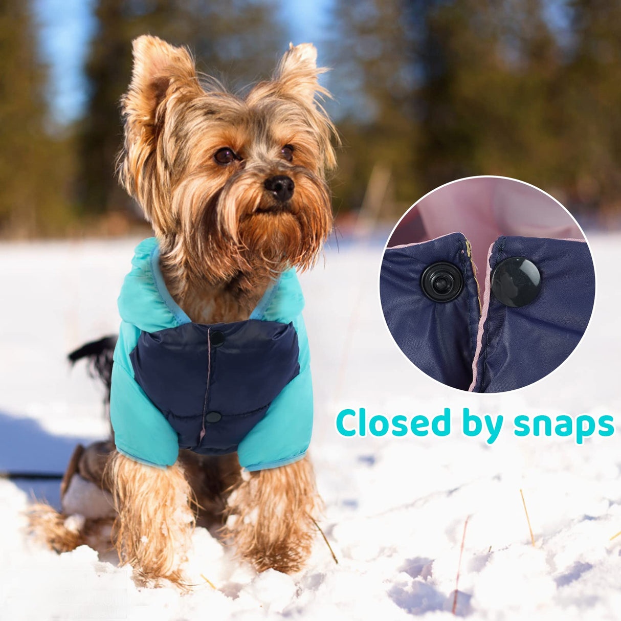 FUAMEY Puppy Puffer Jacket, Warm Padded Pet Snow Vest, Cute Windproof Dog Clothes, Waterproof Outdoor Lightweight Small Dog Hoodie, Chihuahua Poodles Yorkshire Pet Apparel M/16