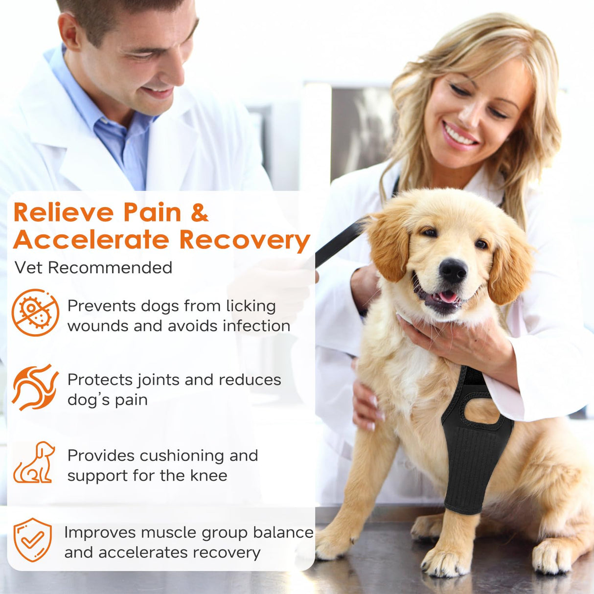 Jorme Dog Knee Brace for Torn ACL, Dog Leg Brace for Post-Surgery Recovery, Arthritis & Luxating Patella,Side Stabilizers, Breathable Neoprene, Adjustable Velcro & Belly Band,Front/Rear Legs (L)