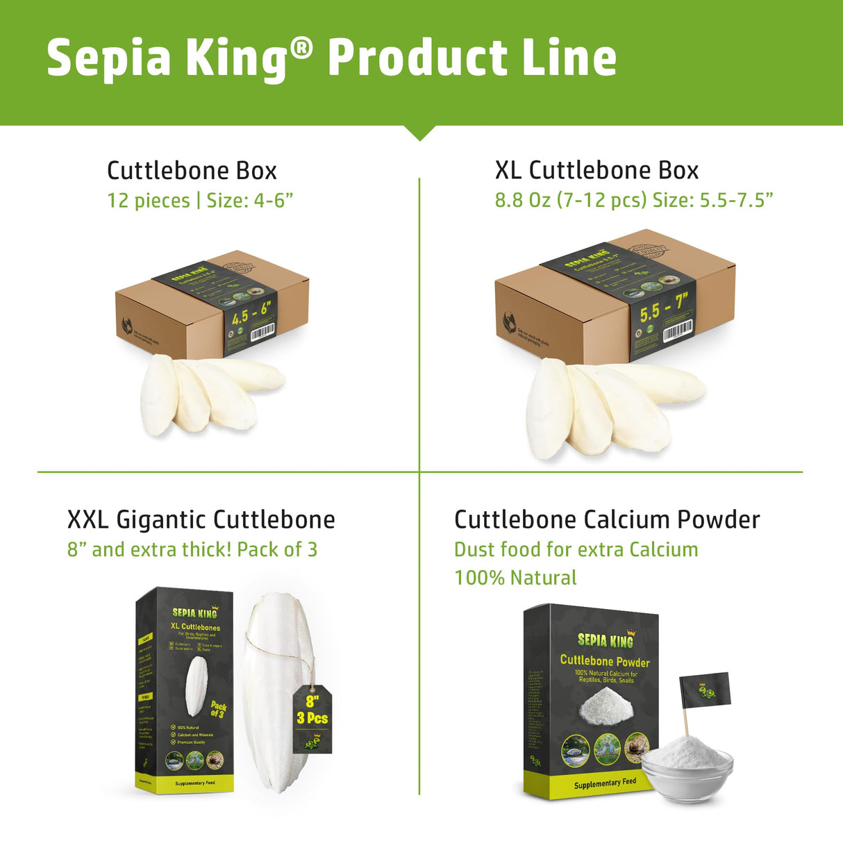 Sepia King - Large - 100% Natural Calcium Supplement - Premium Cuttlebone perfect for Birds, Tortoises, Snails, Reptiles - 5.5 to 7 inch
