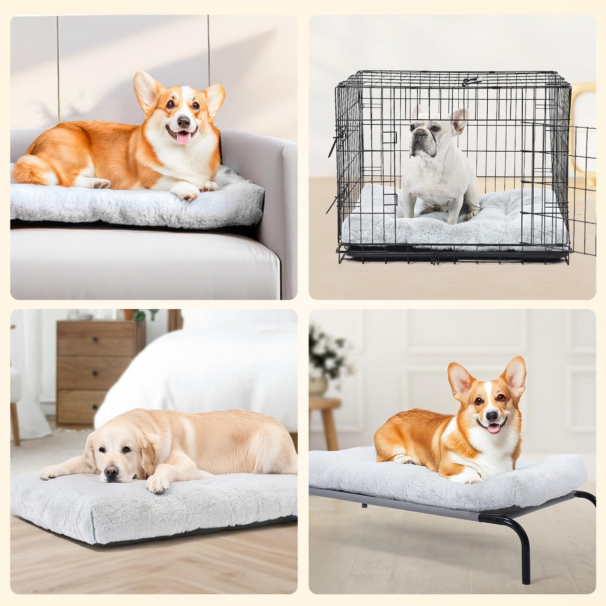 Amazon Basics Medium Dog Bed for Crate, Washable Medium Dog Mat for Pet Kennel, Anti-Slip, 36x23x3.5 Inches