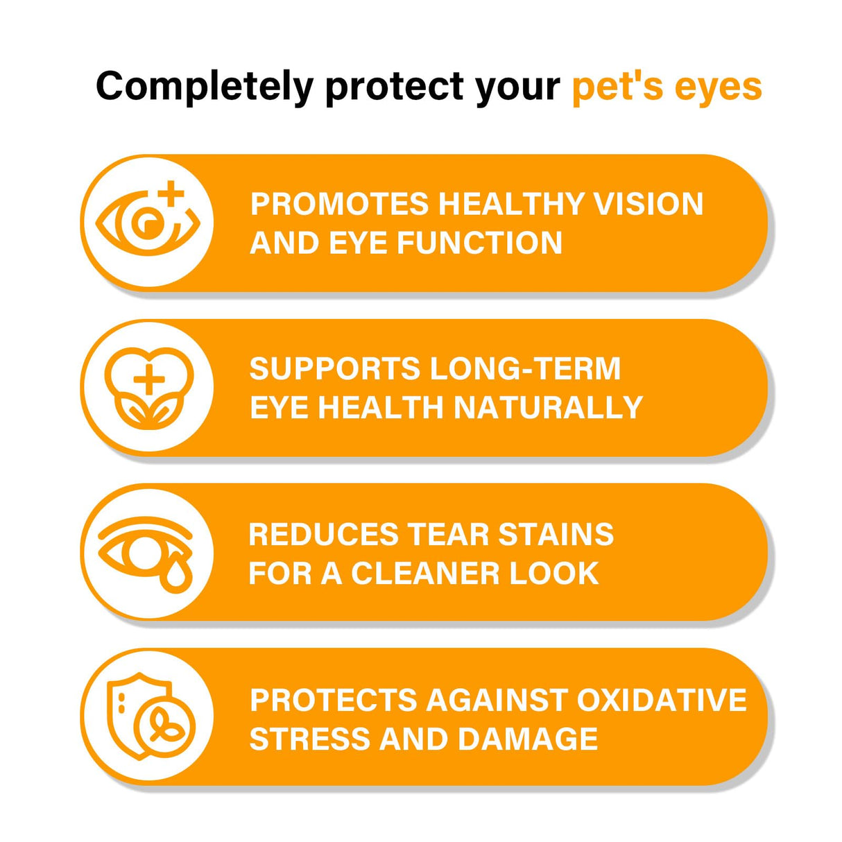 Nutridog Eye Supplements for Dogs - Vision Support Soft Chews with Lutein, DHA & Vitamin C | 120ct Salmon Flavor Tear Stain Chews | Cataract & Dry Eye Relief Supplement (120 Ct, Salmon)