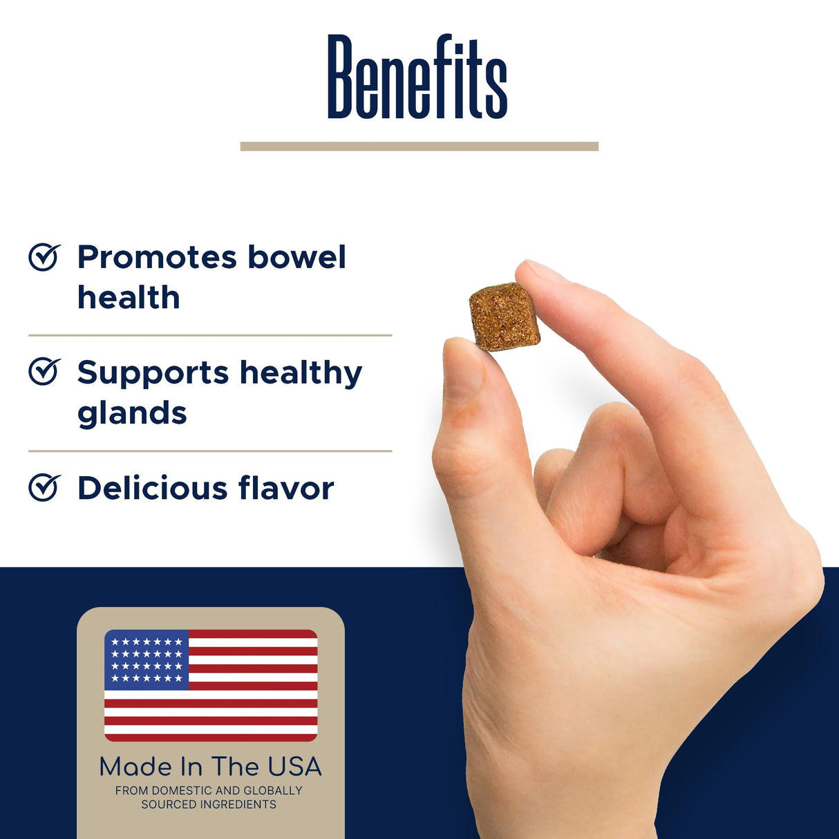 Glands Bowel Support - 120 Delicious Scoot Soft Chews for Scooting, Healthy Anal Glands, and Digestive Health - Made with Pumpkin Powder for Dogs