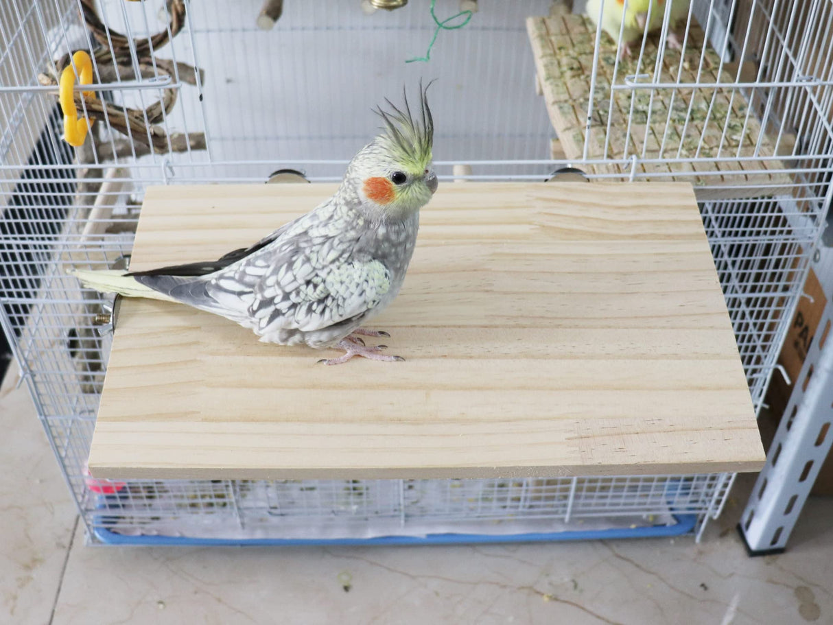 13.6Γ7.9 Inches Large Bird Perch Stand Platform, Natural Wooden Small Animals Cage Accessories, Rectangle Stand Perch Shelf for Parrot Parakeet Cockatiel Rat Hamster Guinea Pig Conure Chinchillas