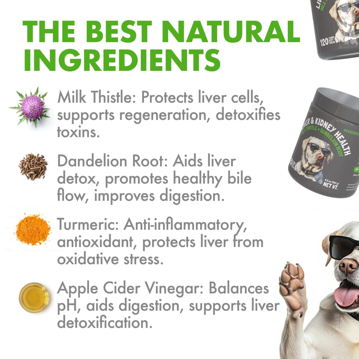 Liver & Kidney Support for Dogs Detox Natural Supplement with Milk Thistle Dandelion Root Turmeric Curcumin Hepatic Support Treats for Canine Liver Function, Immunity & Digestion 120 Soft Chews