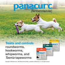 Load image into Gallery viewer, Panacur C Canine Dewormer (Fenbendazole), 4 Gram, 3 Count (Pack of 1), Red