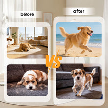 Load image into Gallery viewer, Puppy Lab Co Turkey Tail Mushroom for Dogs - Puppylabco Turkey Tail for Gut & Immune Supports, 100 Scoops | Bacon Flavor | Probiotics 100g (1)