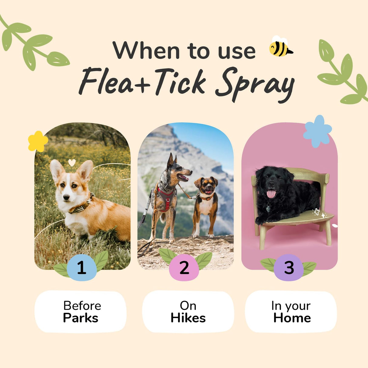 kin+kind Flea and Tick Spray for Dogs – Plant Based Flea Spray with Rosemary, Lavender & Cedarwood Oil – Pet Supplies for Bugs and Pests – Flea & Tick Pet Spray Prevention 12 fl oz