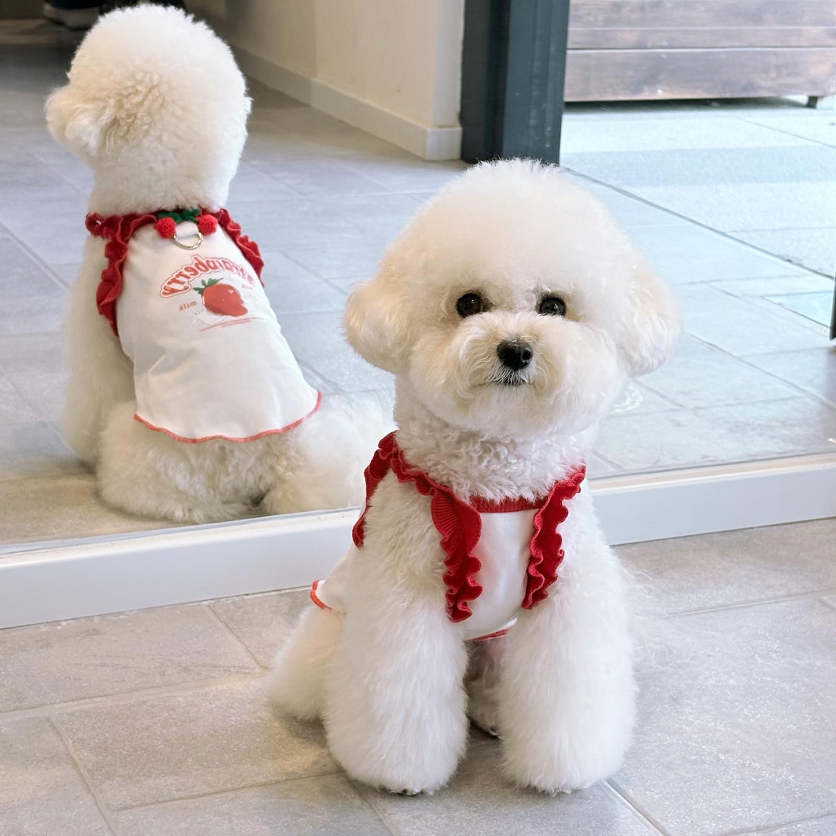 Cute Strawberry Dog Tank Top, Ruffled Edge Pet Clothes for Small Dogs Cats, Adorable Puppy Apparel with Cherry Decoration (XX-Large)
