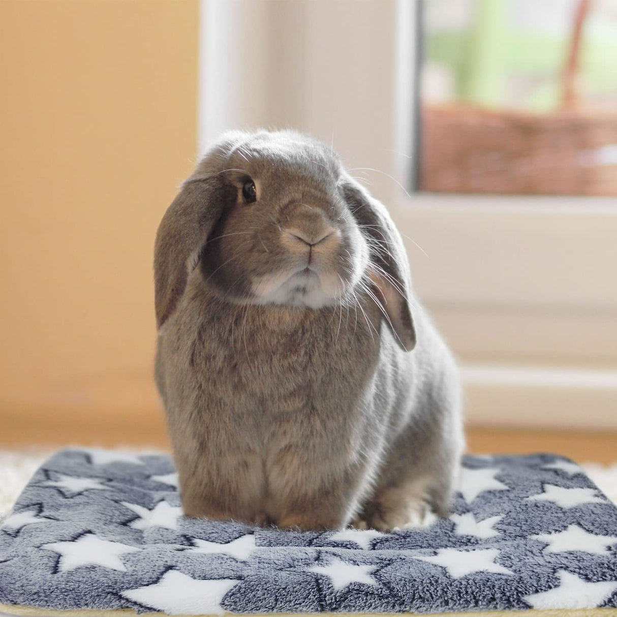 Tierecare 5PCS Guinea Pig Bed Soft Rabbit Bedding Cage Liner Warm Bunny Mats Pee Pads Fleece Blanket Plush Hamster Sleep Beds Ferret Squirrel Hedgehog Rat