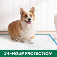 Load image into Gallery viewer, 100 Count Large Dog & Cat Puppy Pee Pads - 28"x30" Absorbent Potty Training Pads | Leakproof Quick-Dry Disposable Pet Pads for Puppies, Dogs & Cats | Indoor, Outdoor, Litter Box, Housebreaking Use