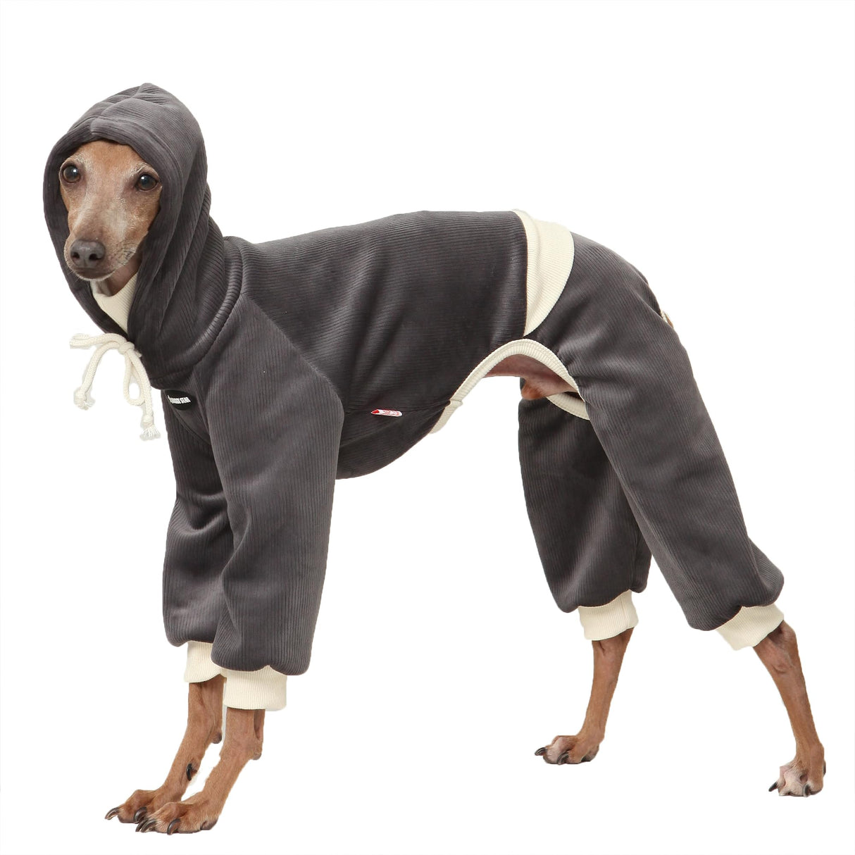 D Doggy Star Italian Greyhound Clothes, Corduroy Velvet Hooded Jumpsuit, Stretchy and Cozy (2XL,Hoodie Charcoal)