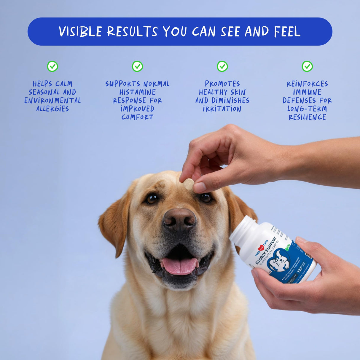 Allergy Support for Dogs - with Vitamin C, Omega 3 and Colostrum - Itch Relief, Allergy Relief for Dogs, Skin Soother - with Probiotics for Immune System Health (Chewable Tablets)