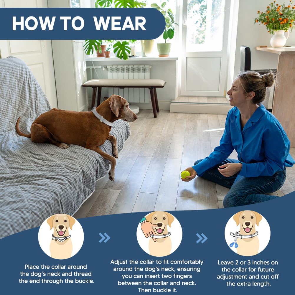 NJKPUYT Flea Collar for Dogs, Tick Collars for Dogs, Dog Fleas Collar, 8-Month Protection,Safe Repellent for Fleas, Ticks & Mosquitoes,Fits Small, Medium & Large Dog-2P