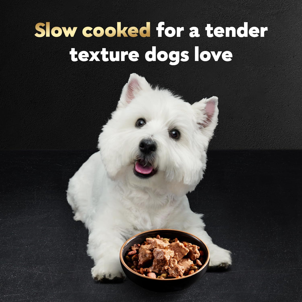 Cesar Wet Dog Food Steak Lovers Variety Pack, Adult, Wet Food for Dogs with Real Meat, 3.5 oz Easy Peel Trays, 36 Count