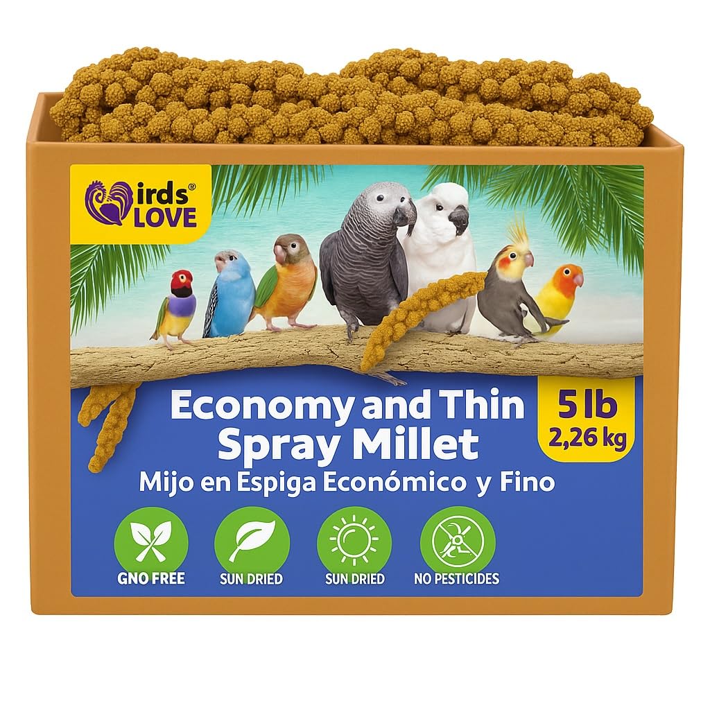 5lbs Economy & Special Spray Millet for Birds – GMO-Free, No Stems (Only Edible Tops) – 100% Natural Sun-Dried Foraging Treat for Cockatiels, Lovebirds, Parakeets, Finches & Canaries