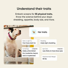 Load image into Gallery viewer, Embark Breed & Health Kit - Dog DNA Testing Kit - Discover Breed, Ancestry, Relative Finder, Genetic Health, Traits, Allergy Risk Scores