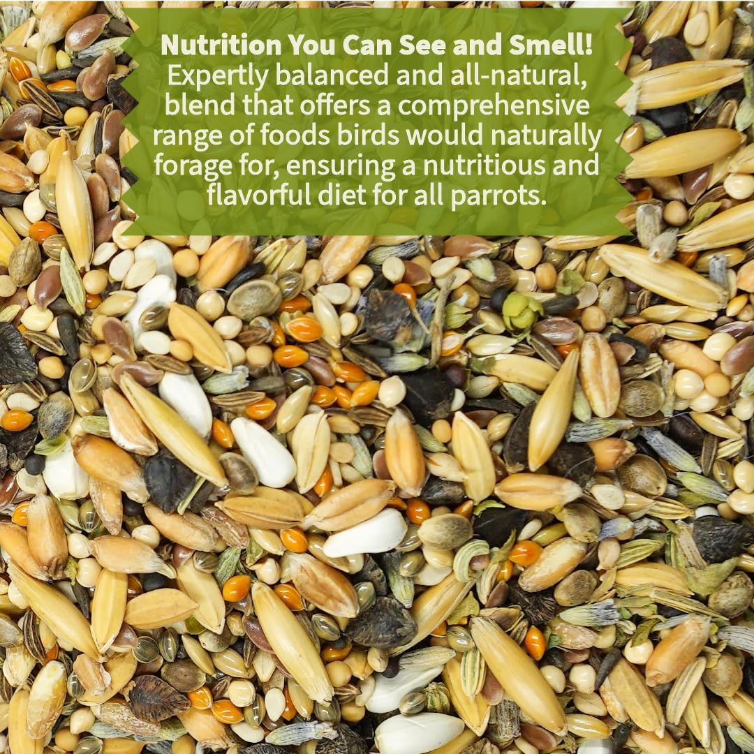 KikiBirds Premium Parrot Food| Protein-Rich Low-Fat Formula | Cockatiel, Conure, Lovebird, Quaker, Parrotlet | No Corn, Soy, Peanuts | Gourmet Whole Grains & Seeds | Daily Maintenance Blend (3 lbs)