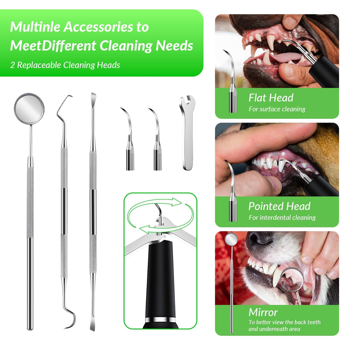 LGGbaodan Dog Plaque and Tartar Remover&Tartar Remover for Pet Teeth, Dog Teeth Cleaning Kit with LED Light and Storage Box, Pet Dental Care, Black.
