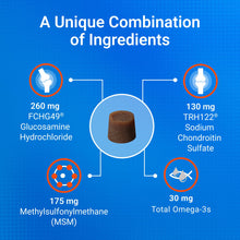 Load image into Gallery viewer, Cosequin Minis Soft Chews Maximum Strength with MSM Plus Omega3, 45 Count