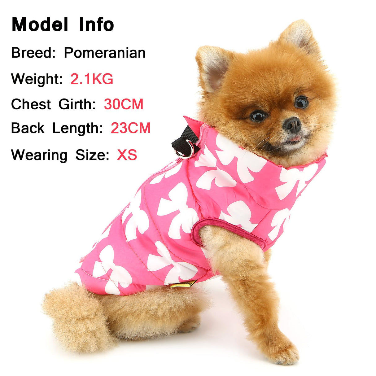 SMALLLEE_LUCKY_STORE Pet Water Resistant Winter Jacket Vest with D-Ring for Small Dog Cat Zip-up Padded Puppy Coat Chihuahua Yorkie Kitten Warm Clothes, Hot-Pink, XL
