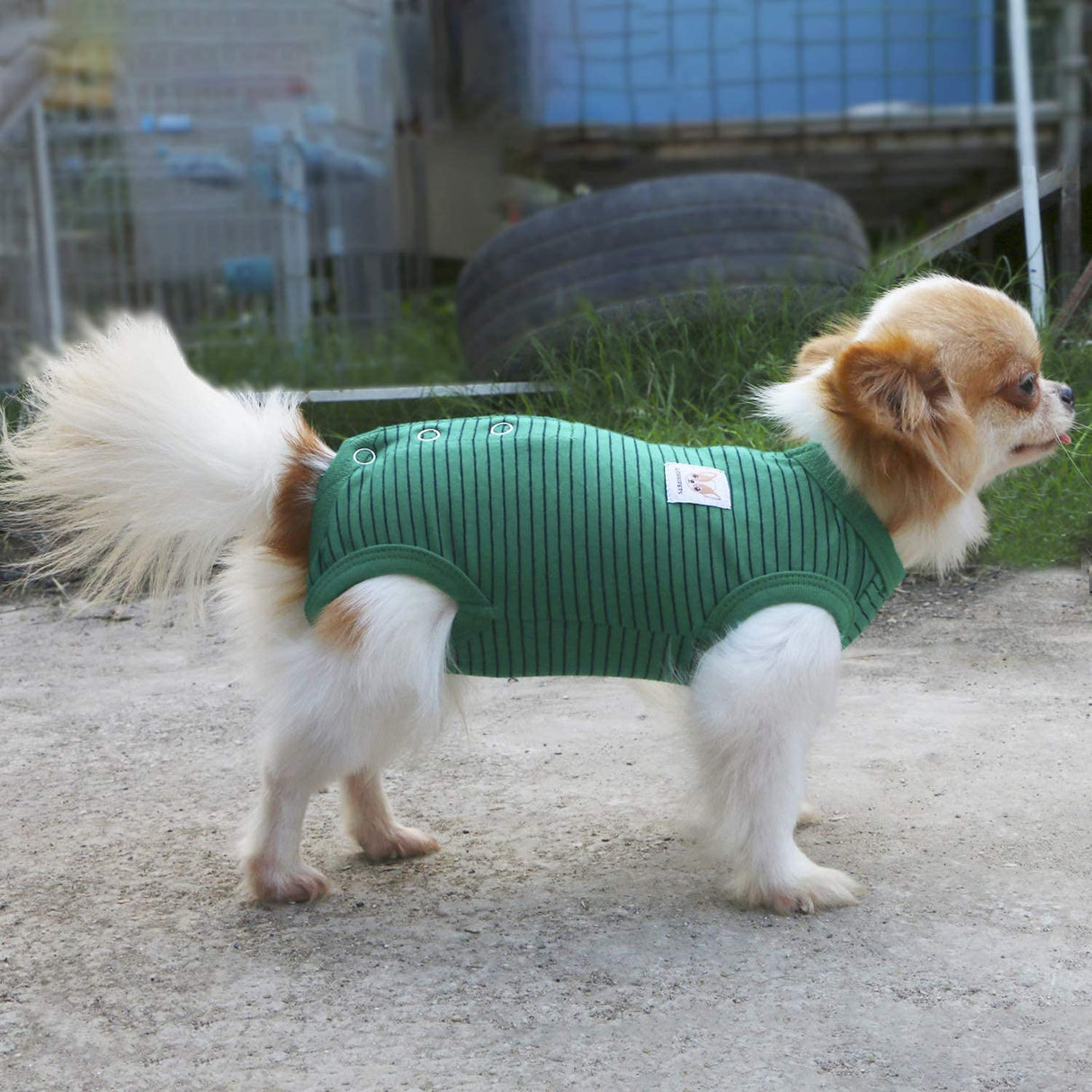 LOPHIPETS Girl Dog Shirts Pajamas - Fits 4.5-6.5 lbs - Adult Chis, Poms, Maltese - Green Strips/M