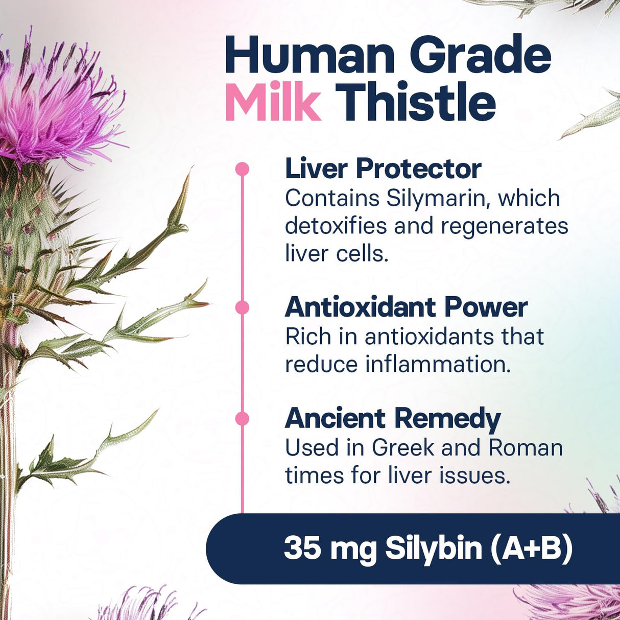 SilymarinAdvanced Liver Health Supplement for Large Dogs - Milk Thistle for Dogs Liver Support with S-Adenosylmethionine (Same) & Silybin - 30 Tablets