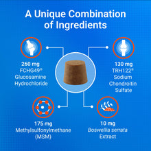 Load image into Gallery viewer, Nutramax Laboratories Cosequin Plus MSM & Boswellia Mini Sized Soft Chews