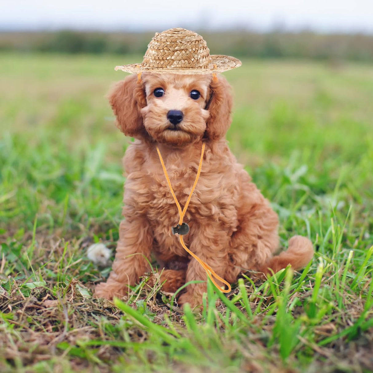 ULTECHNOVO Pet Straw Sun Hat Adjustable Summer Bucket Cap for Dogs and Cats Large Size 8.3 Inch Breathable Garden Beach Outdoor Protection