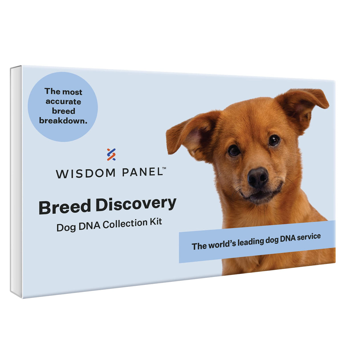 Wisdom Panel Breed Discovery Dog DNA Kit: Most Accurate Dog Breed Identification, Test for 365+ Breeds, MDR1 Health Test, Ancestry, Relatives